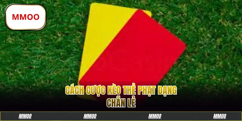 Cách cược kèo thẻ phạt dạng chẵn lẻ