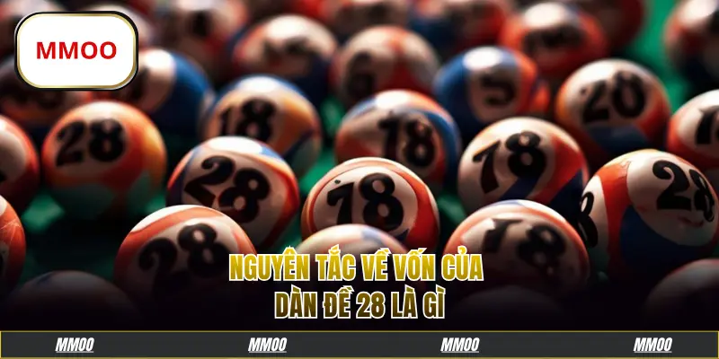 Nguyên tắc về vốn của dàn đề 28 là gì